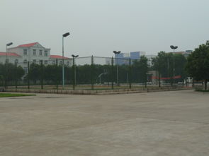焦作高新技術(shù)創(chuàng)業(yè)服務(wù)中心 構(gòu)建全方位技術(shù)服務(wù)平臺，賦能企業(yè)創(chuàng)新成長